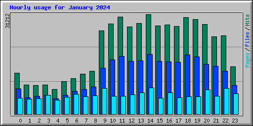 Hourly usage for January 2024