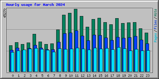 Hourly usage for March 2024